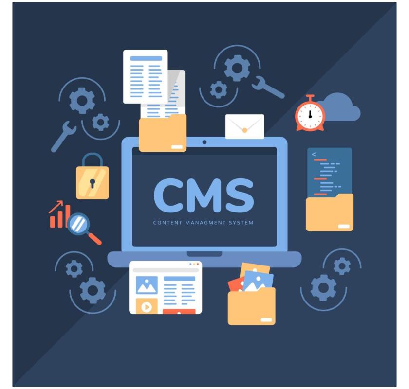 The Best WordPress Development Company in India for Business Growth
