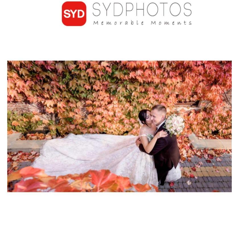Trusted Wedding Planner Sydney Couples Rely On