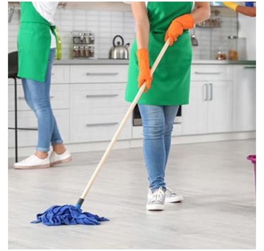 Home and carpet  cleaning Services in Ridgewood, NY