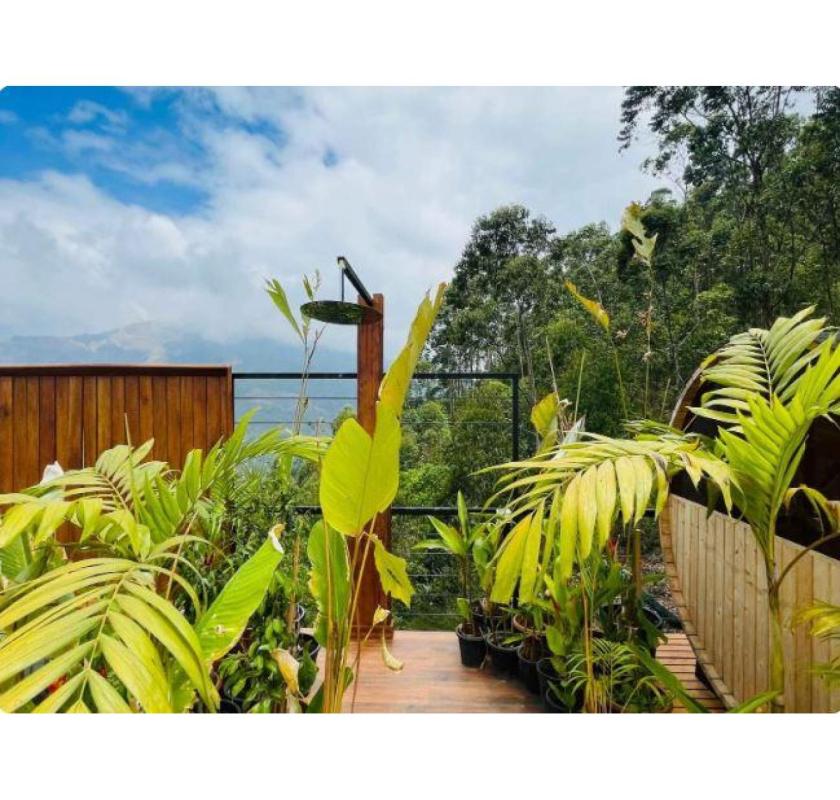Mountain View Staycation Munnar | Luxury Glamping in Munnar