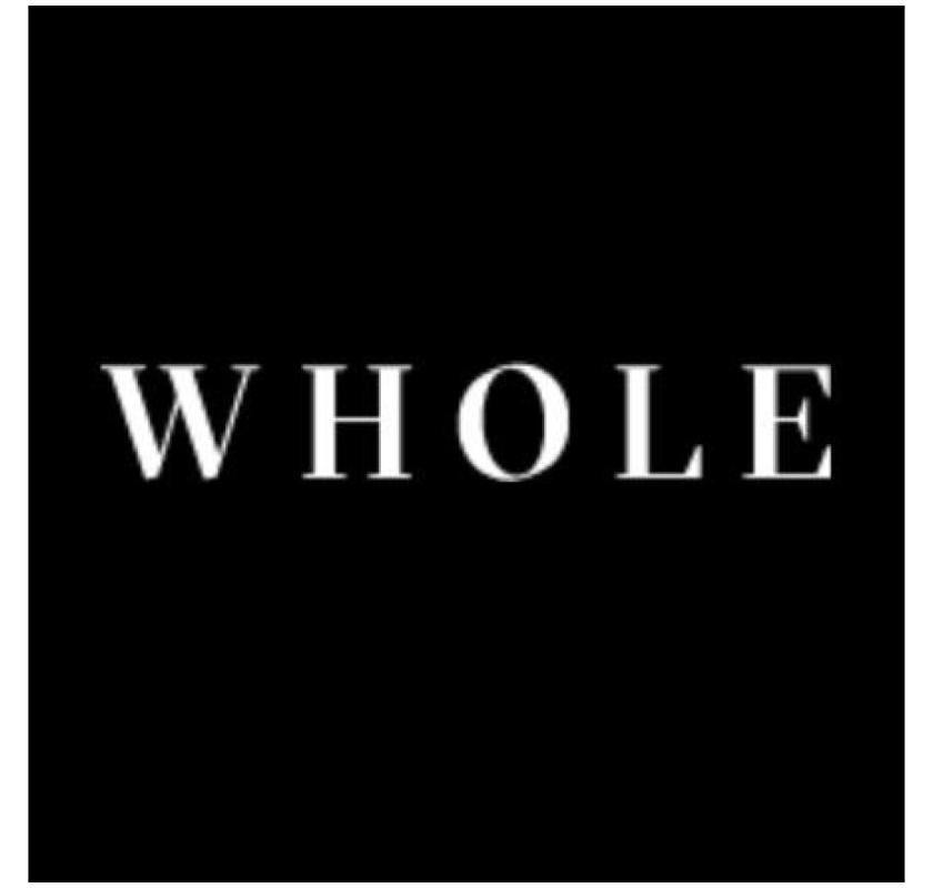 WHOLE Wellness Therapy Services