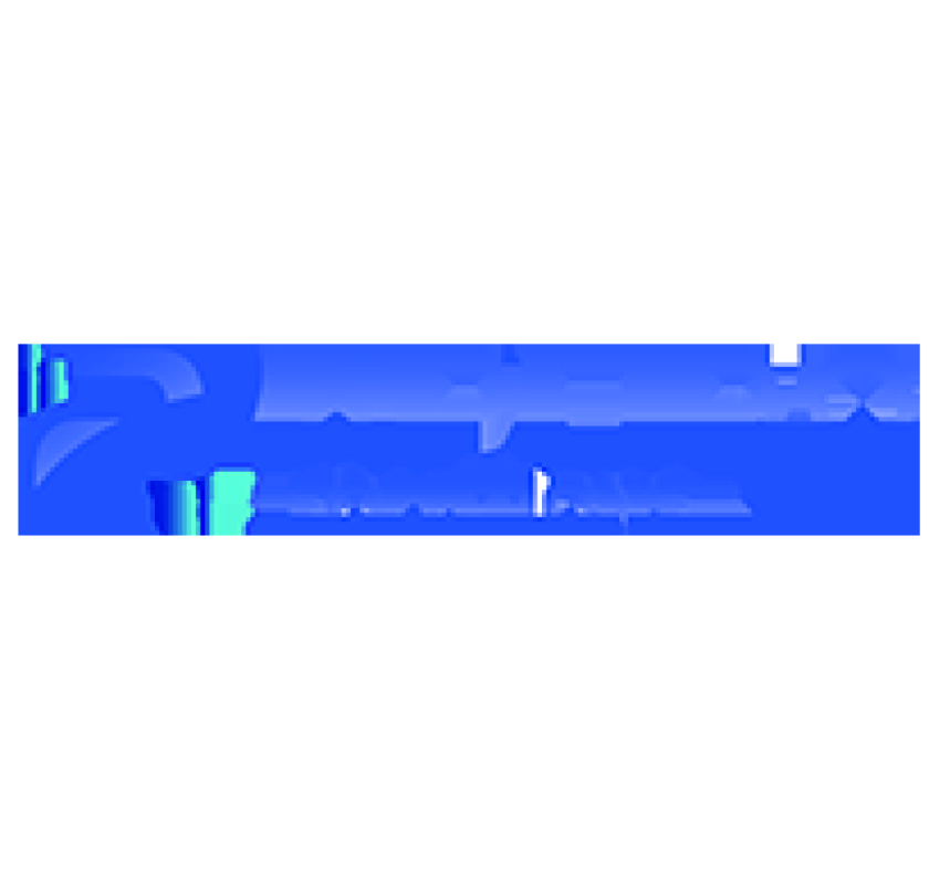 Data Cleansing Companies: Improve Profitability Fast