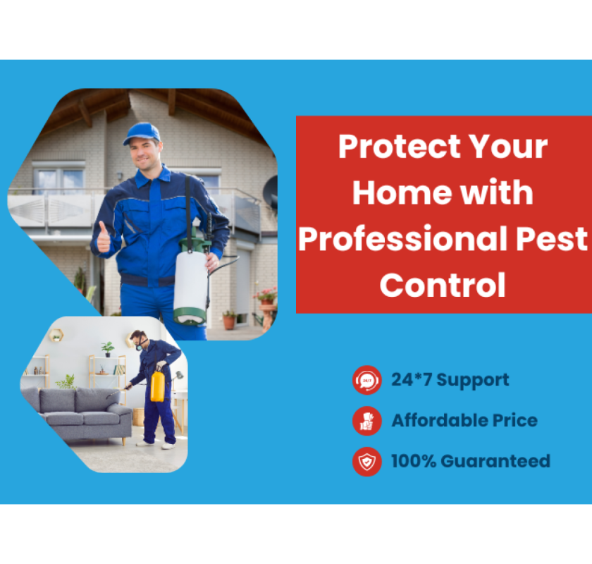 Say Goodbye to Pests – Same Day, Every Day in Toorak