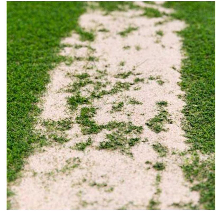 Best Rated Wholesalers Artificial Grass Perth Near You