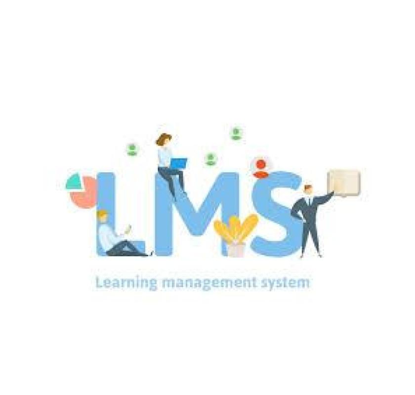 Trusted LMS Software Development Company for Advanced Learning Platforms