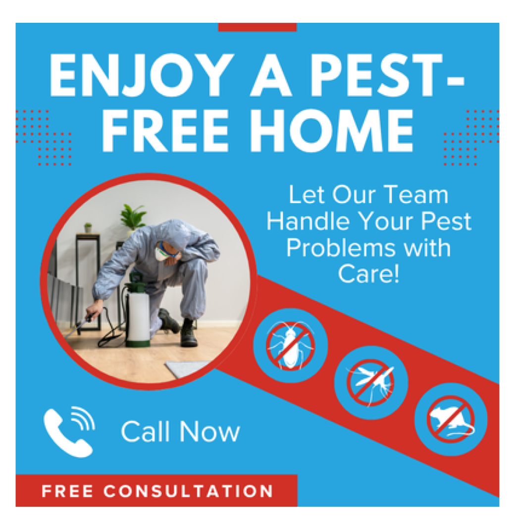 Your Trusted Partner for Same Day Pest Control Sunbury Services