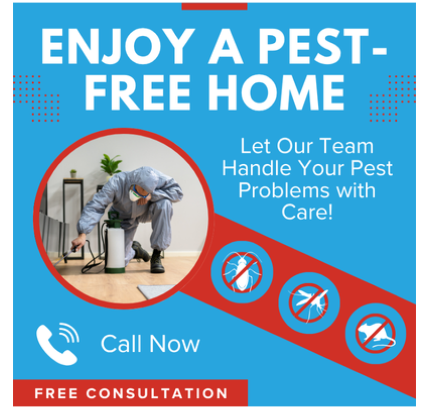 Your Trusted Partner for Same Day Pest Control Sunbury Services