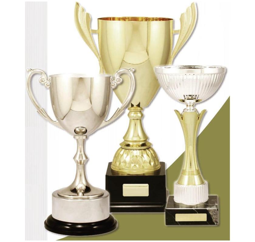 Buy Cricket Trophies in Castle Hill – Olympia Trophies Corporate