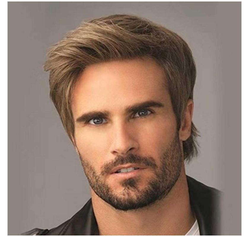 Men Wigs Brown Mix Short Layered Natural Looking Fluffy