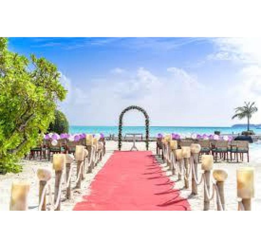 Top Wedding Planner Services & Best Goa Deals
