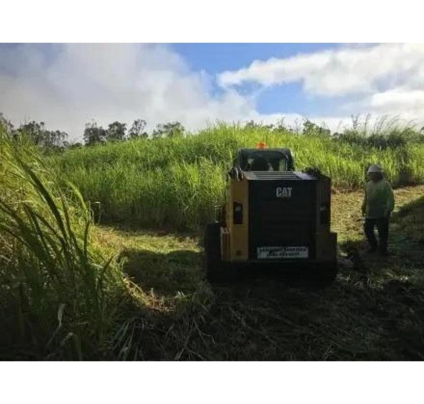 Efficient Tree Mulcher Company for Overgrown Properties – Arborist Services, LLC