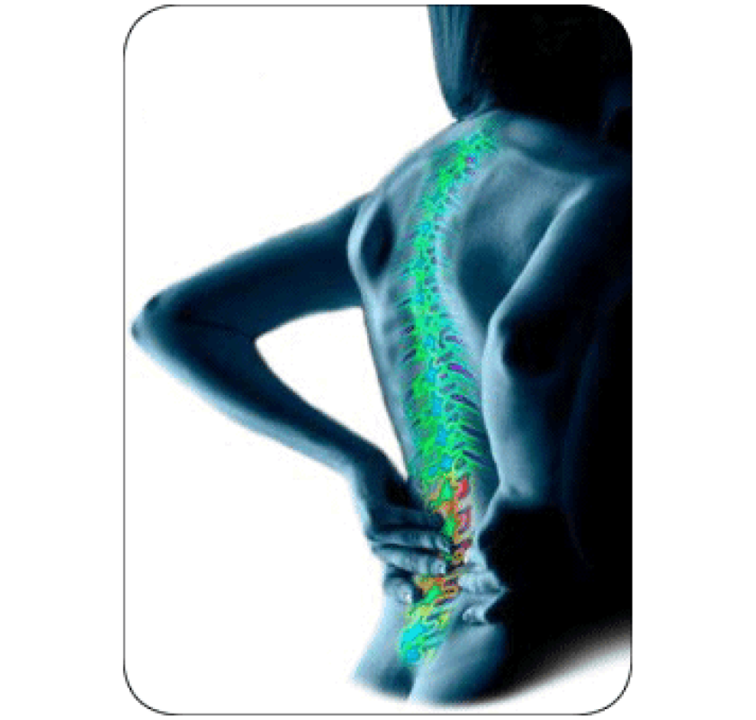 AROGYAM PURE HERBS KIT FOR JOINT PAINS