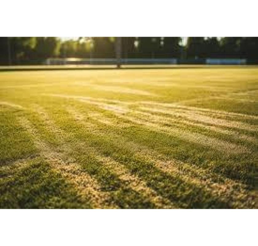 High-Quality Cricket Turf Manufacturer at Your Service