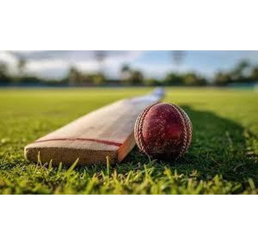 OSMSTurf: The Cricket Turf Manufacturer You Can Trust