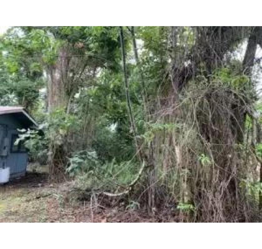 Reliable Hawaii Crane Support for Any Terrain – Arborist Services, LLC