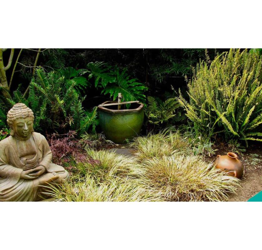 Top Bay Area Landscaping Company – Expert Design & Installation