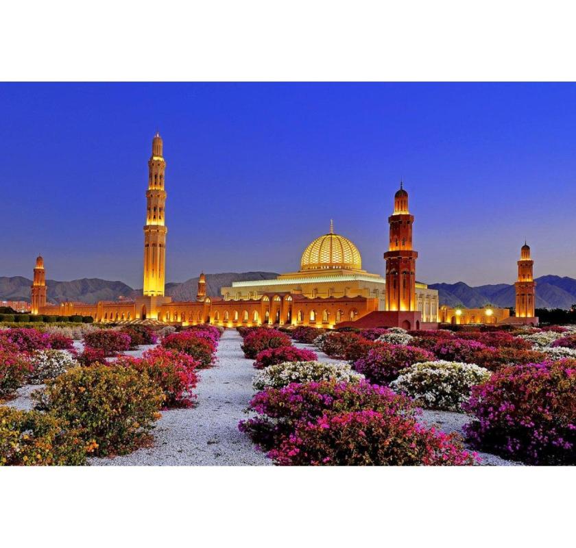 Oman Tour Packages from India - Book Your Dream Vacation Today!