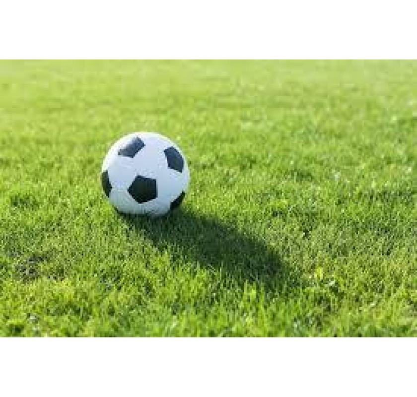 Buy Premium Football Turf Online