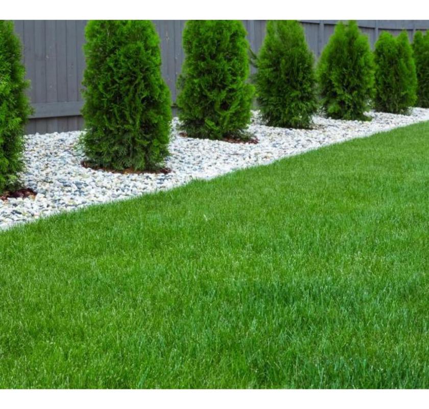 Best Artificial Grass Perth Available Now