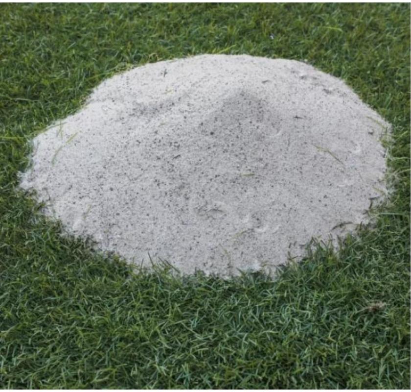 Top Wholesalers Artificial Grass Perth at Low Price