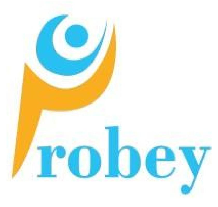 AI in SEO by Probey Services- Smarter Strategies for Digital Growth
