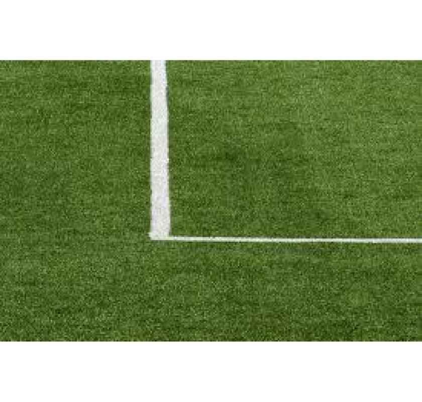 Top Turf Ground Development Company in Delhi