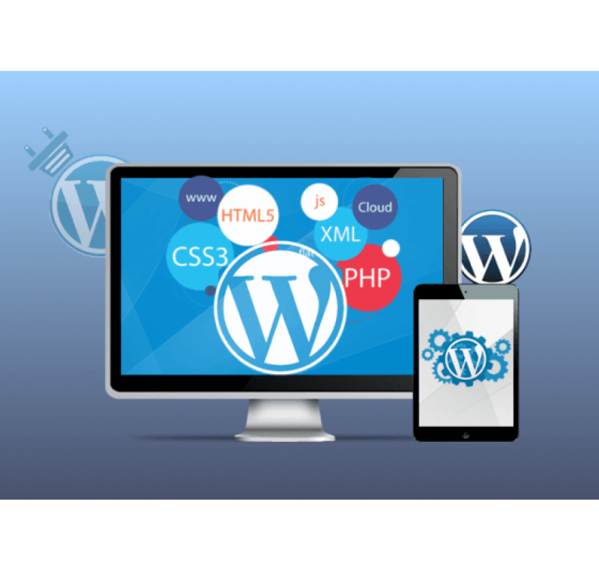 Professional WordPress Web Development Dubai Services