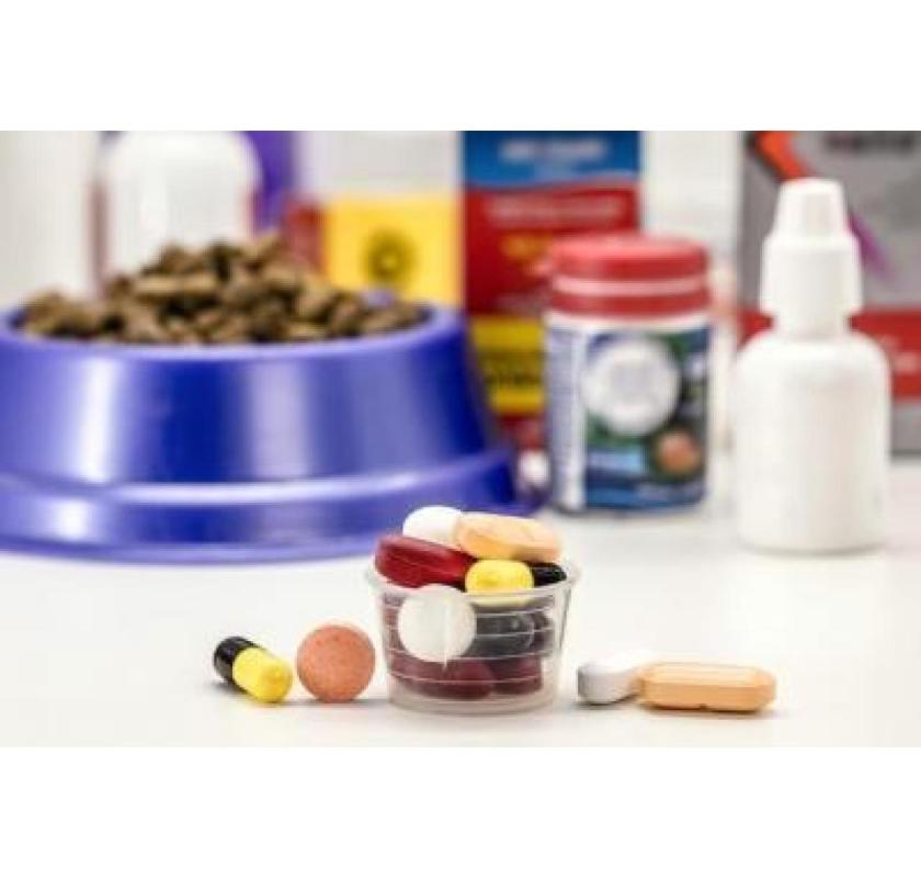 Veterinary Medicine Wholesale Distributors