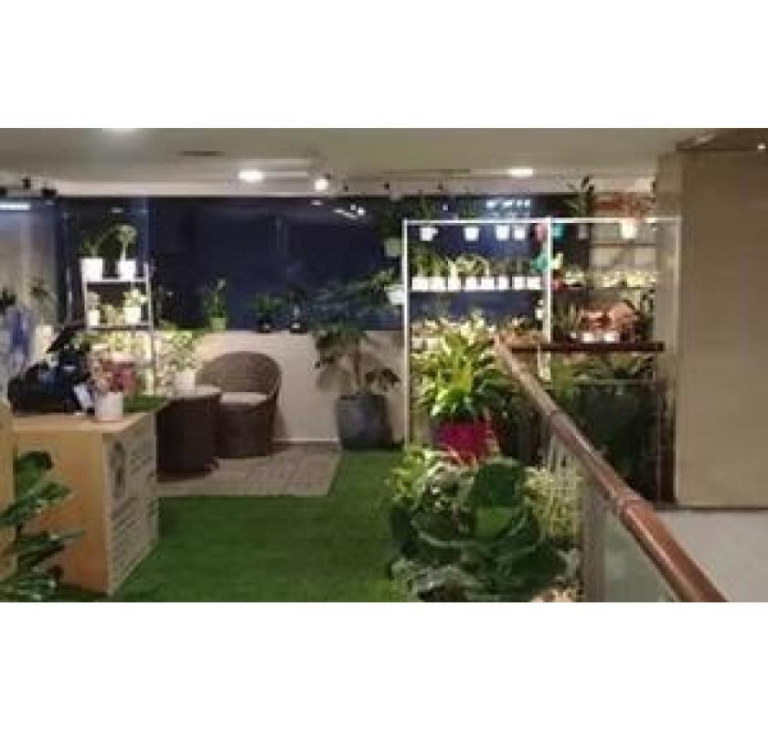 Exquisite Garden Furniture Mumbai Collections – Greenlands