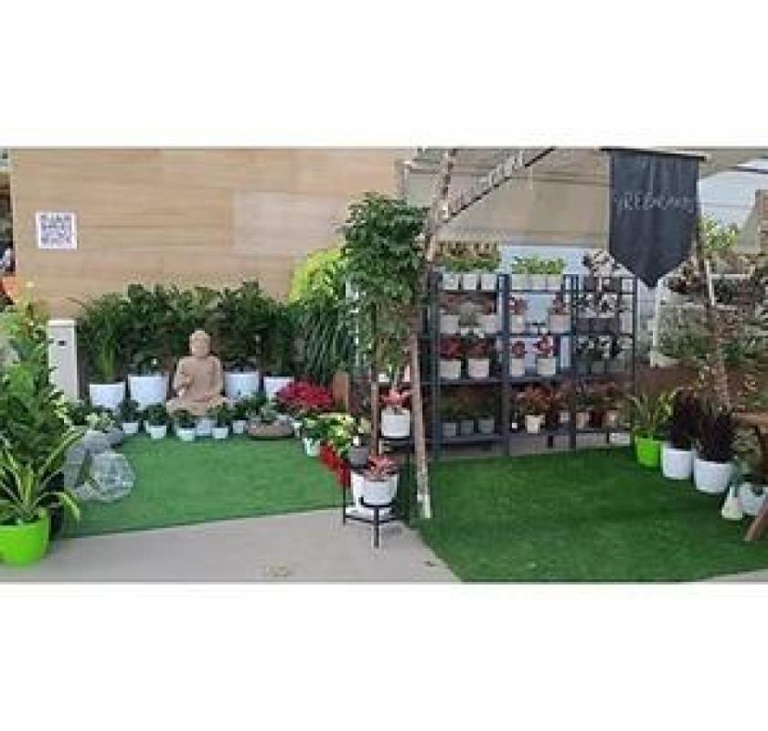 Add Life to Walls with a Lush Vertical Green Wall – Greenlands