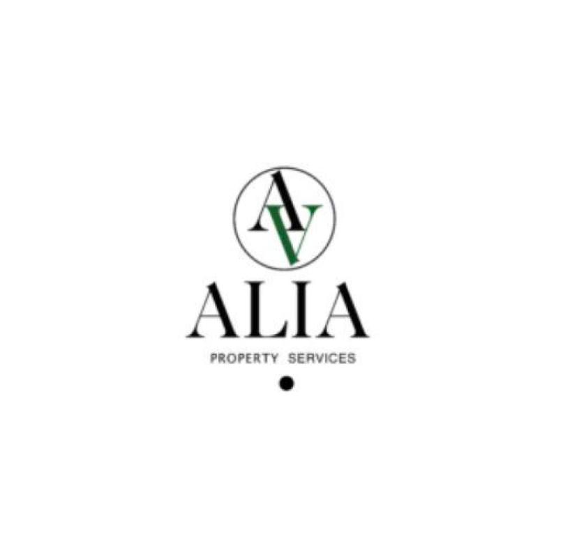 Thorough Cleaning Solutions in Ibiza | ALIA Management Ibiza
