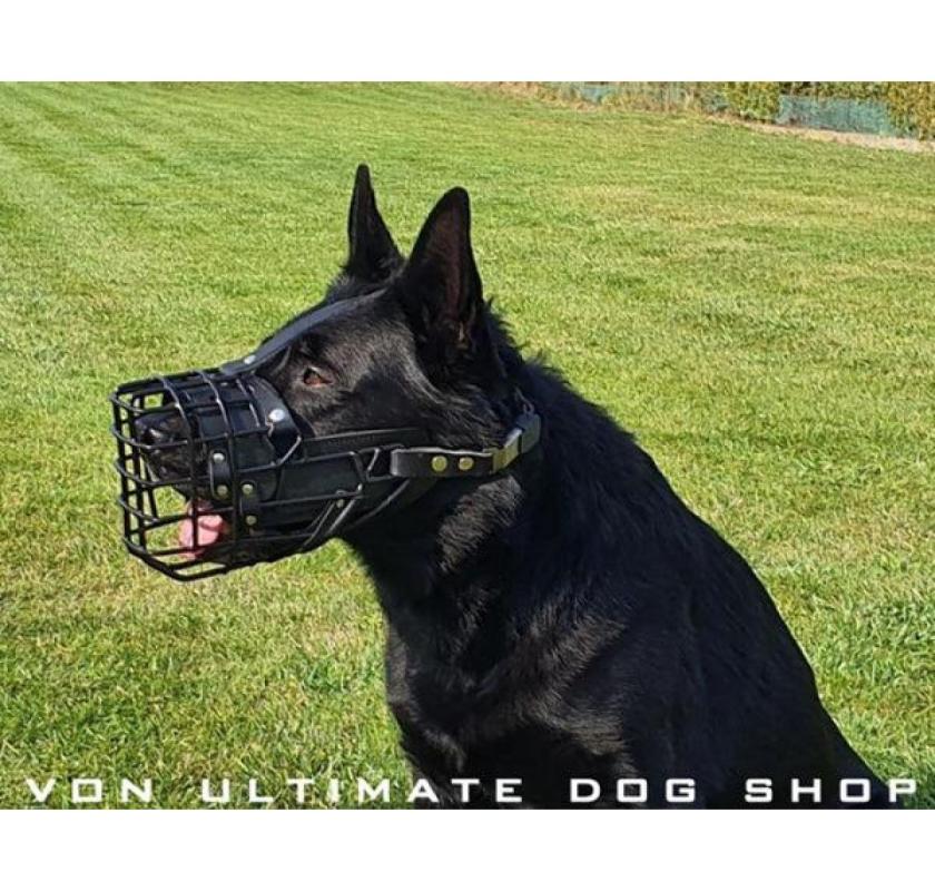 Best Dog Muzzles: Top Muzzles for Small Dogs and How to Muzzle a Small Dog