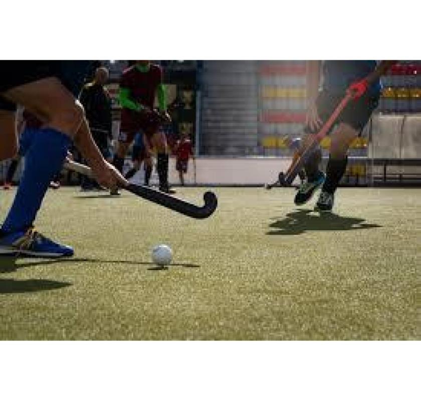 Buy High-Quality Artificial Hockey Turf -  Play Like a Pro