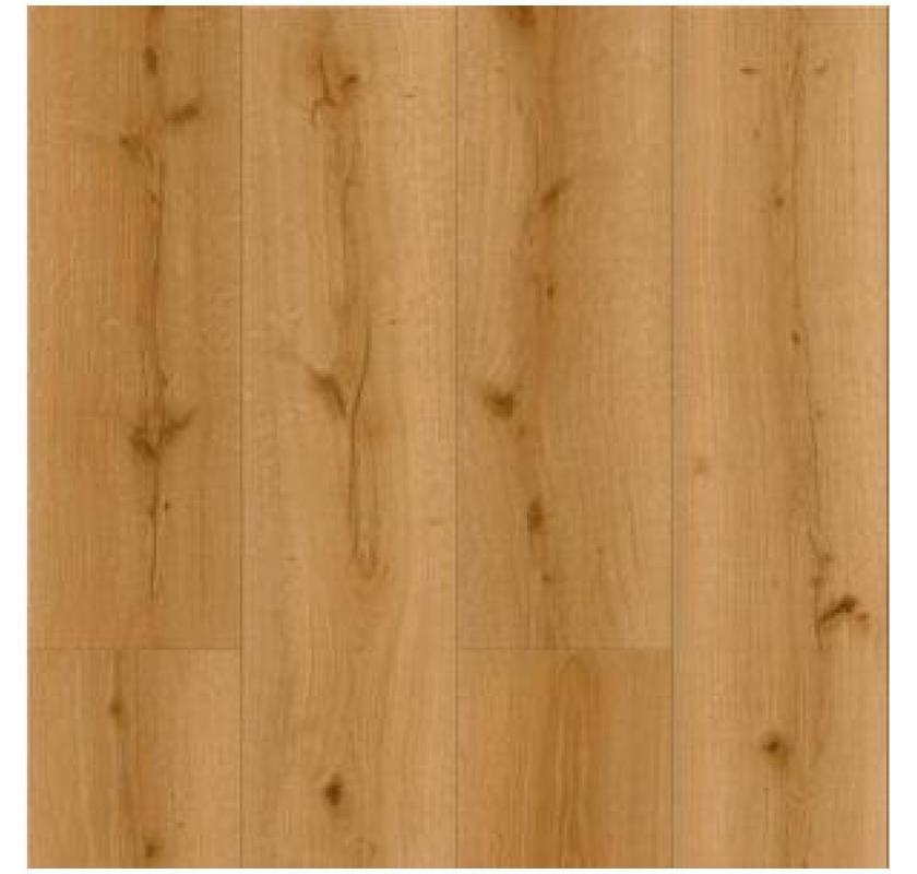 Purchase Top Quality SPC Flooring In NZ