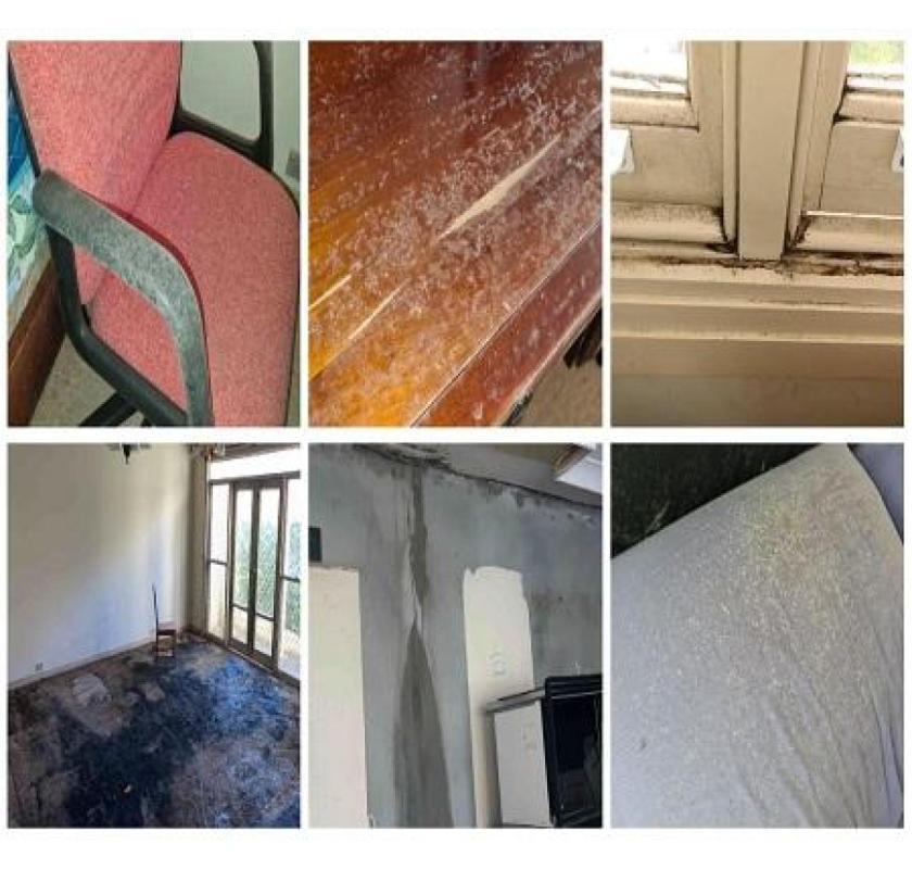 Mould Assessment Sydney | Mould Testing Sydney | Integrated Environmental