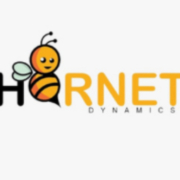 Hornet Dynamics