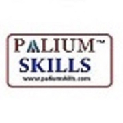PALIUM SKILLS