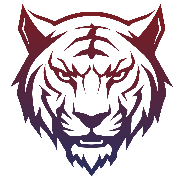 Tectigers ltd