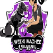 weeki  wachee waggers