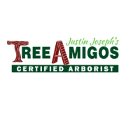 Tree Amigos Tree Service