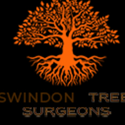 Tree Surgeon