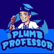 Plumb Professor