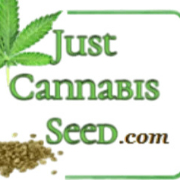 Autoflower Cannabis Seeds
