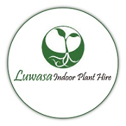 Luwasa Indoor Plant Hire