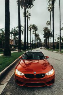 Used Cars New Zealand